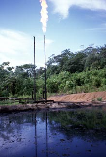 lforderung und Umweltverschmutzung in Lago Agrio (Texaco, Petro-Ecuador)