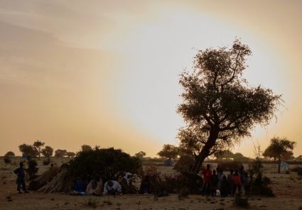 Flüchtlingslager in Diffa, Niger. Foto: Sam Phelps/Caritas.