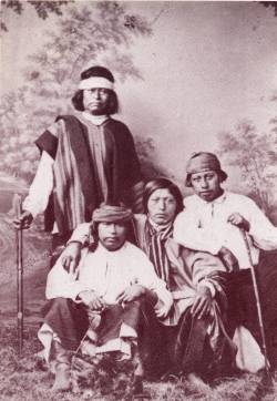 http://www.gfbv.it/3dossier/ind-voelker/mapuche.jpg