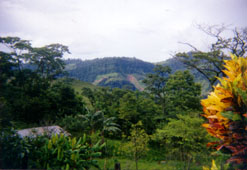 Parte del territorio degli U'wa in Colombia