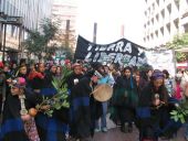 Protesta mapuche y marcha pacífica por Alameda y Paseo Ahumada de Santiago, 13.5.2006