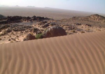 Landschaft in der Westsahara.