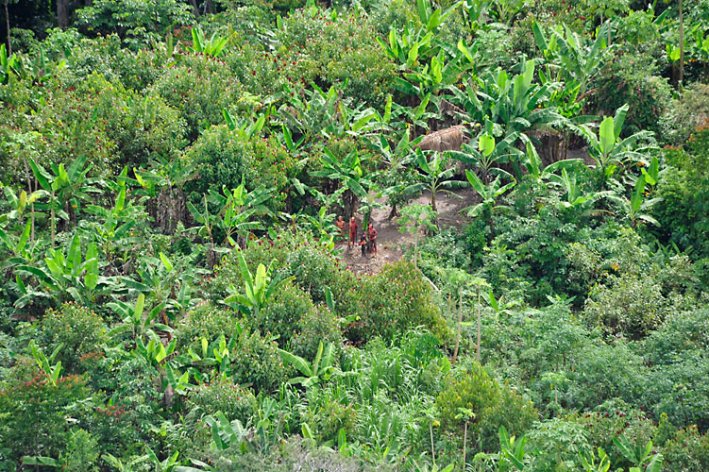 Unkontaktierte Indigene, Humaita, Brasilien. Foto: Gleylson Miranda, FUNAI.