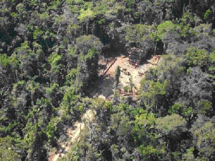 Waldabholzung in Brasilien. Foto: GfbV-Archiv.