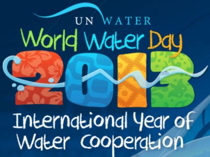 Logo della Giornata internazionale dell'acqua 2013.