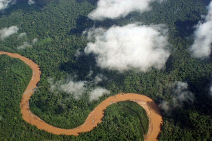 Amazzonia boliviana, dipartimento di Pando. Foto: Jonathan Lewis, CC BY-SA 2.0.