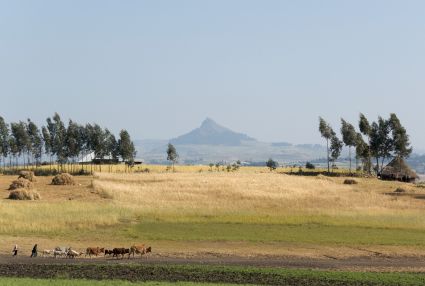 Simien-Nationalpark im Norden von Äthiopien. Foto: A. Davey, CC BY 2.0.
