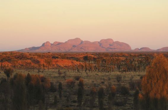 Eine Gruppe von 36 Bergen ragt etwa 30 Kilometer vom Ulur-u entfernt aus der Landschaft. Das sind die Kata Tjut-a. Sie entstanden vor etwa 550 Millionen Jahren. Foto: Michael Nelson / Park Australia.