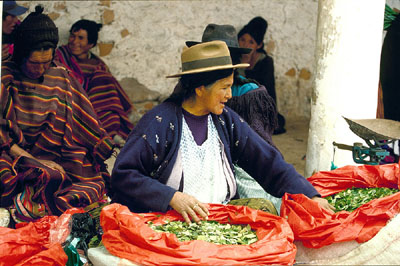 Bolivianische Verkäuferin von Cocablättern