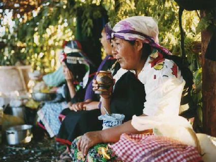 Mate-Tee - Vorbereitung,Dorfgemeinschaft Rayen Mapu. Foto: Massimo Falqui Massidda.