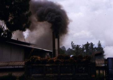 Palmölfabrik in Westpapua - Foto: Kristina Neubauer