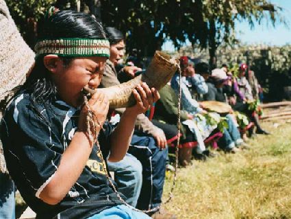 Kul Kul, traditionelles Musikinstrument der Mapuche. Foto: Massimo Falqui Massidda.