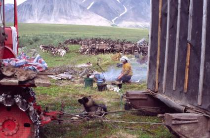 Lager von Rentiernomaden der Tschuktschen
