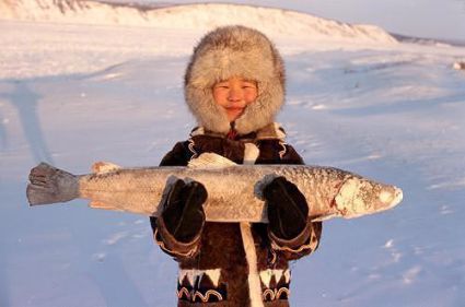 Lena Slepsova, una ragazza evenca della Jacuzia (Siberia) ci mostra un nelma (salmone bianco) - ovviamente ghiacciato